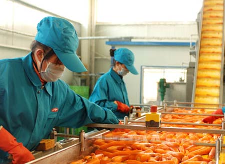 飲料鏈板輸送機