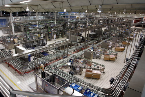 乳品碳鋼鏈條輸送機(jī)