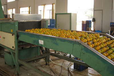 飲料滾筒輸送機