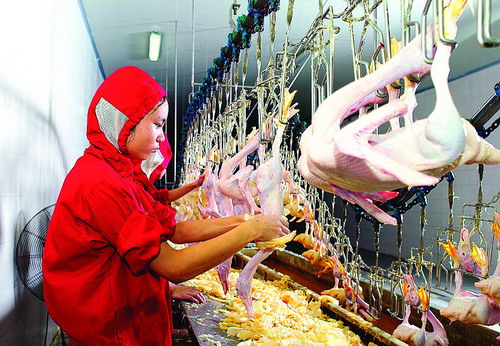 屠宰托輥輸送機