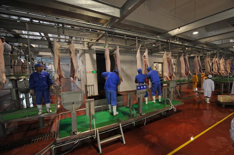 屠宰拖鏈輸送機