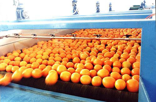 蔬菜拖鏈輸送機(jī)