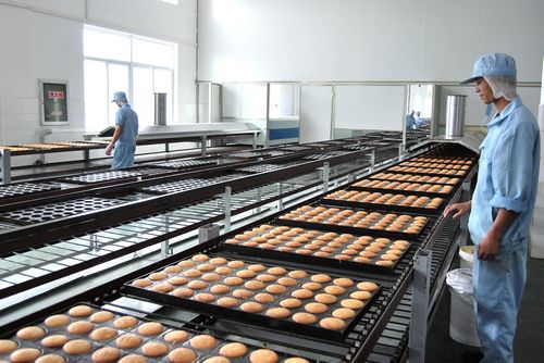 食品滾筒輸送機(jī)